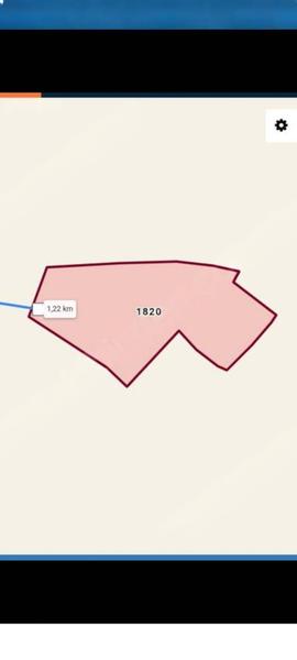 İlan Görseli https://cdn.ilanlar.com/images/l1/l2/{width}/{height}/30004905_1761522278706991499.jpg