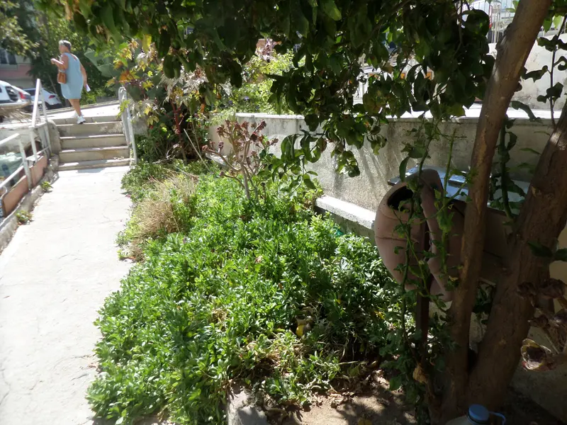 İlan Görseli https://cdn.ilanlar.com/images/l1/l2/{width}/{height}/30004979_1761734591459743379.jpg