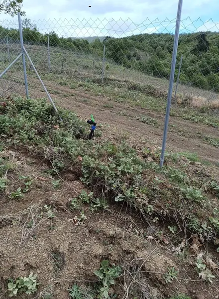 İlan Görseli https://cdn.ilanlar.com/images/l1/l2/{width}/{height}/30005010_1761770876200964333.jpg