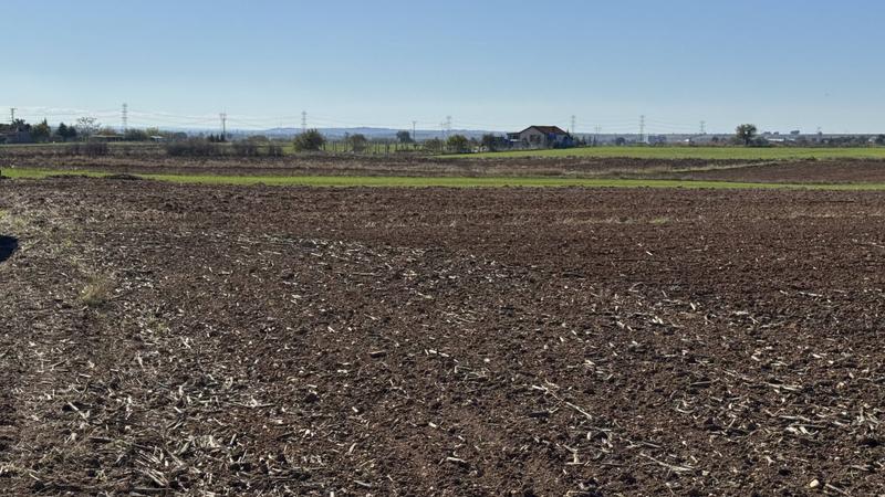 İlan Görseli https://cdn.ilanlar.com/images/l1/l2/{width}/{height}/30005048_1761833607793574080.jpg