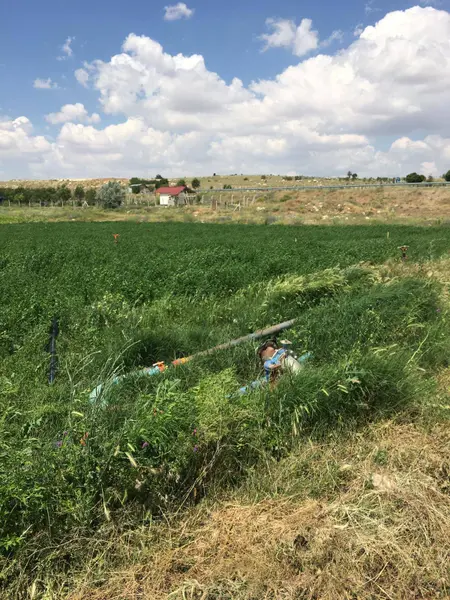 İlan Görseli https://cdn.ilanlar.com/images/l1/l2/{width}/{height}/30005086_1761926839768740891.jpg