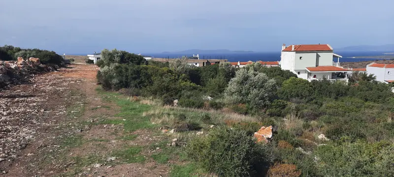 İlan Görseli https://cdn.ilanlar.com/images/l1/l2/{width}/{height}/30005087_1761927978567943155.jpg