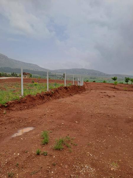 İlan Görseli https://cdn.ilanlar.com/images/l1/l2/{width}/{height}/30005088_1761930083800278646.jpg