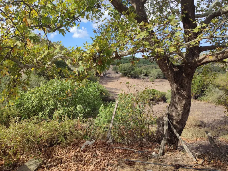 İlan Görseli https://cdn.ilanlar.com/images/l1/l2/{width}/{height}/30005097_1761934173880127875.jpg