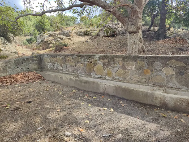 İlan Görseli https://cdn.ilanlar.com/images/l1/l2/{width}/{height}/30005097_1761934184377701093.jpg