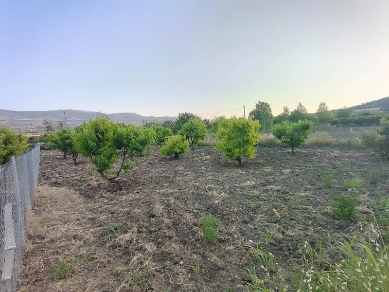 İlan Görseli https://cdn.ilanlar.com/images/l1/l2/{width}/{height}/30005119_1761983056156503490.jpg