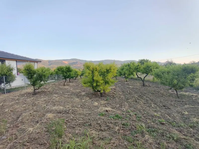 İlan Görseli https://cdn.ilanlar.com/images/l1/l2/{width}/{height}/30005119_1761983057384032163.jpg