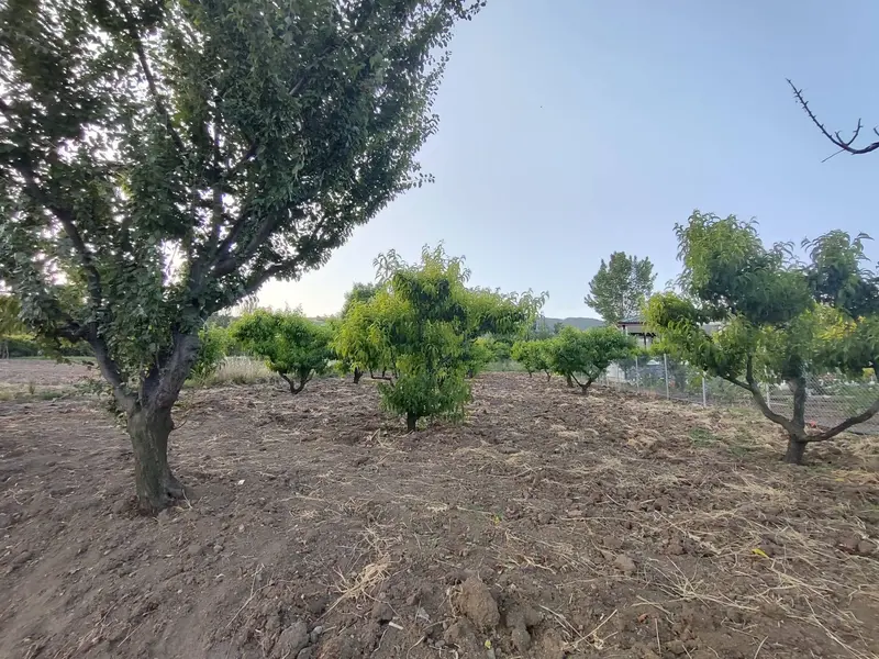 İlan Görseli https://cdn.ilanlar.com/images/l1/l2/{width}/{height}/30005119_1761983058728798208.jpg