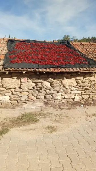 İlan Görseli https://cdn.ilanlar.com/images/l1/l2/{width}/{height}/30005150_1762019463888425664.jpg