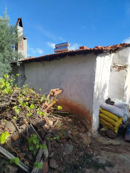 İlan Görseli https://cdn.ilanlar.com/images/l1/l2/{width}/{height}/30005159_1762029498192730764.jpg