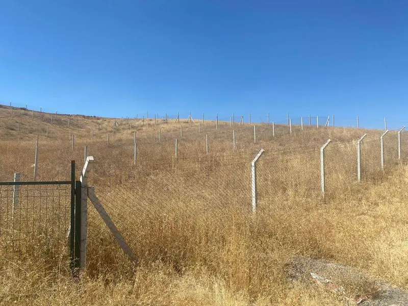 İlan Görseli https://cdn.ilanlar.com/images/l1/l2/{width}/{height}/30005164_1762066206977758983.jpg