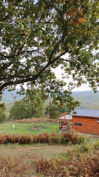 İlan Görseli https://cdn.ilanlar.com/images/l1/l2/{width}/{height}/30005190_1762141032647064164.jpg