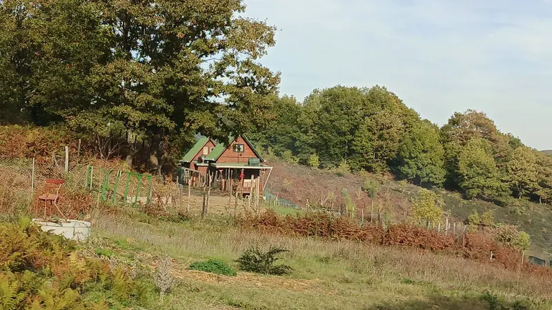 İlan Görseli https://cdn.ilanlar.com/images/l1/l2/{width}/{height}/30005190_1762141033554396981.jpg