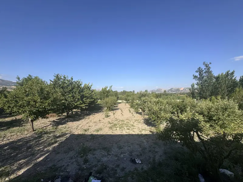 İlan Görseli https://cdn.ilanlar.com/images/l1/l2/{width}/{height}/30005209_1762165813697316188.jpg