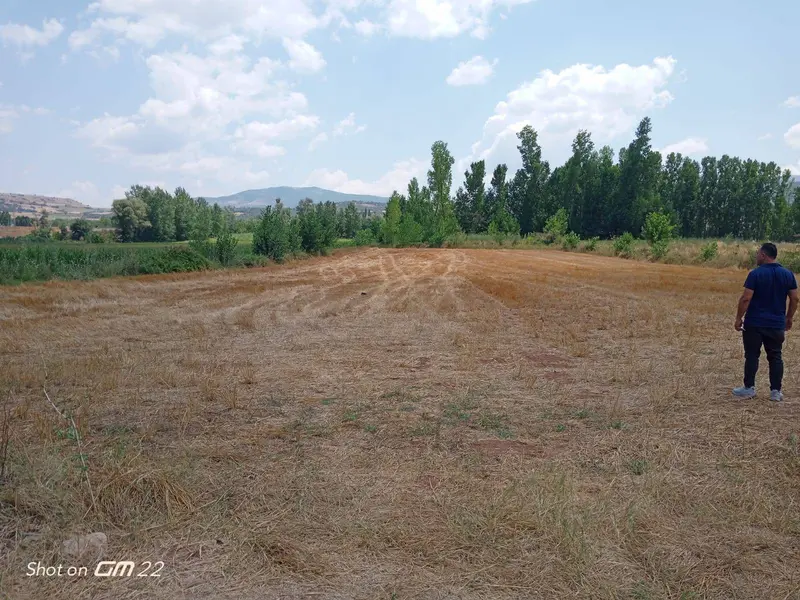 İlan Görseli https://cdn.ilanlar.com/images/l1/l2/{width}/{height}/30005213_1762169008113858198.jpg