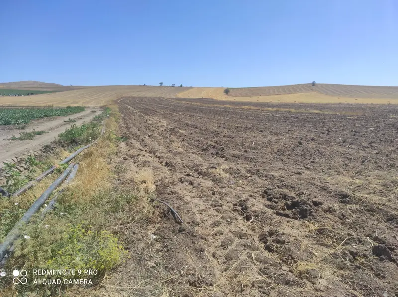 İlan Görseli https://cdn.ilanlar.com/images/l1/l2/{width}/{height}/30005249_1762227013750584255.jpg