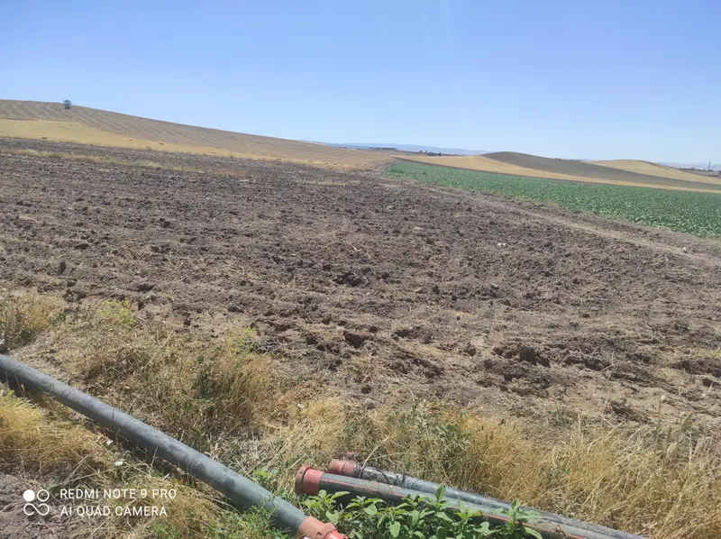 İlan Görseli https://cdn.ilanlar.com/images/l1/l2/{width}/{height}/30005249_1762227049677988721.jpg