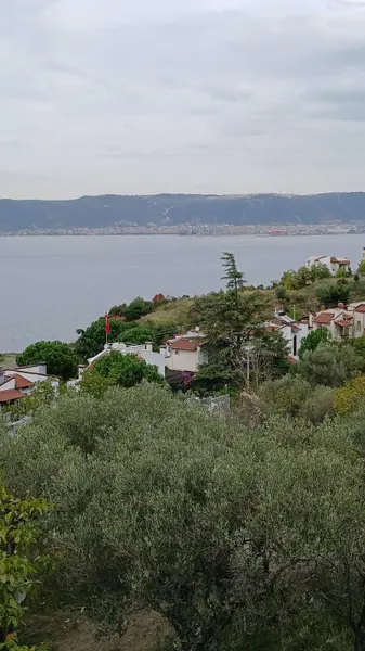 İlan Görseli https://cdn.ilanlar.com/images/l1/l2/{width}/{height}/30005267_1762279954132340634.jpg