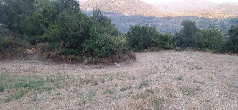 İlan Görseli https://cdn.ilanlar.com/images/l1/l2/{width}/{height}/30005275_1762336653058842226.jpg