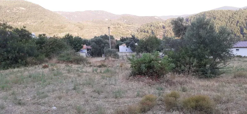 İlan Görseli https://cdn.ilanlar.com/images/l1/l2/{width}/{height}/30005275_1762336653591578599.jpg