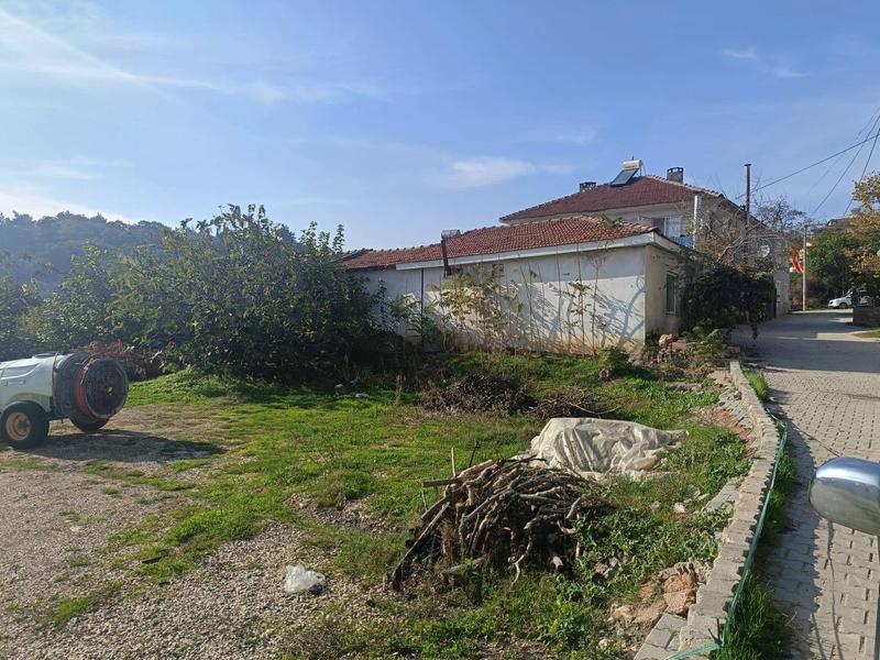 İlan Görseli https://cdn.ilanlar.com/images/l1/l2/{width}/{height}/30005276_1762350369506963996.jpg