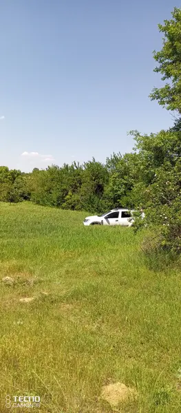 İlan Görseli https://cdn.ilanlar.com/images/l1/l2/{width}/{height}/30005299_1762469511834561606.jpg