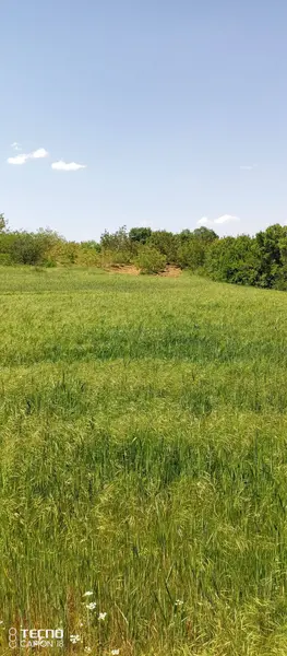 İlan Görseli https://cdn.ilanlar.com/images/l1/l2/{width}/{height}/30005299_1762469517423374982.jpg