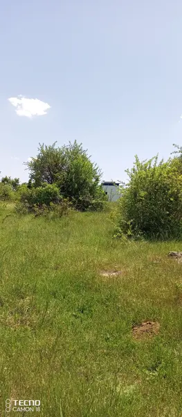 İlan Görseli https://cdn.ilanlar.com/images/l1/l2/{width}/{height}/30005299_1762469521917047558.jpg