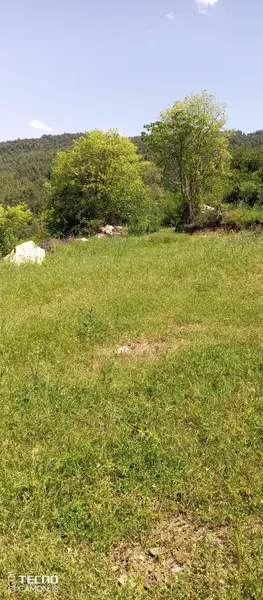 İlan Görseli https://cdn.ilanlar.com/images/l1/l2/{width}/{height}/30005300_1762470665555219038.jpg