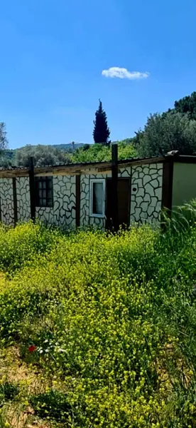 İlan Görseli https://cdn.ilanlar.com/images/l1/l2/{width}/{height}/30005315_1762579751947689639.jpg