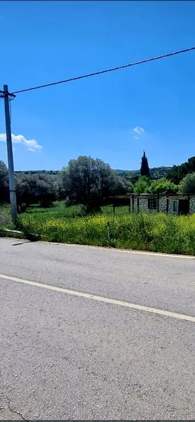 İlan Görseli https://cdn.ilanlar.com/images/l1/l2/{width}/{height}/30005315_1762579752416130247.jpg