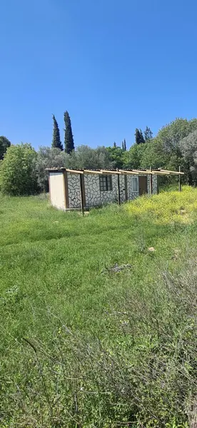 İlan Görseli https://cdn.ilanlar.com/images/l1/l2/{width}/{height}/30005315_1762579756761980914.jpg