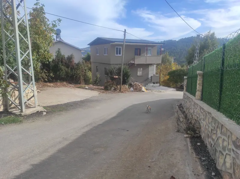 İlan Görseli https://cdn.ilanlar.com/images/l1/l2/{width}/{height}/30005336_1762648075047732551.jpg