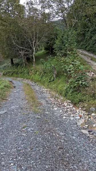 İlan Görseli https://cdn.ilanlar.com/images/l1/l2/{width}/{height}/30005361_1762714539736404439.jpg