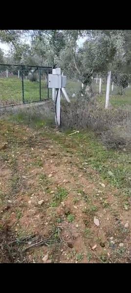 İlan Görseli https://cdn.ilanlar.com/images/l1/l2/{width}/{height}/30005375_1762788721073316628.jpg