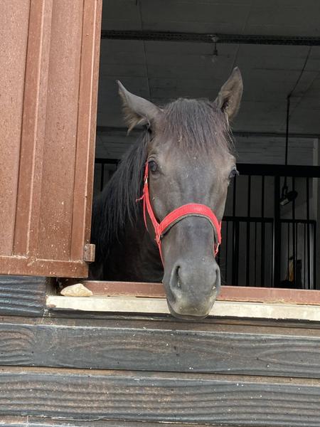 İlan Görseli https://cdn.ilanlar.com/images/l1/l2/{width}/{height}/30005418_1762943424634253162.jpg