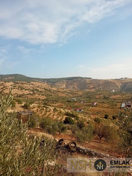 İlan Görseli https://cdn.ilanlar.com/images/l1/l2/{width}/{height}/30005423_1762954113651862613.jpg