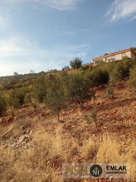 İlan Görseli https://cdn.ilanlar.com/images/l1/l2/{width}/{height}/30005423_1762954124871620150.jpg