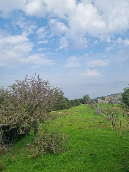 İlan Görseli https://cdn.ilanlar.com/images/l1/l2/{width}/{height}/30005449_1763109617989813624.jpg