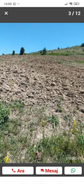 İlan Görseli https://cdn.ilanlar.com/images/l1/l2/{width}/{height}/30005460_1763139358354941824.jpg