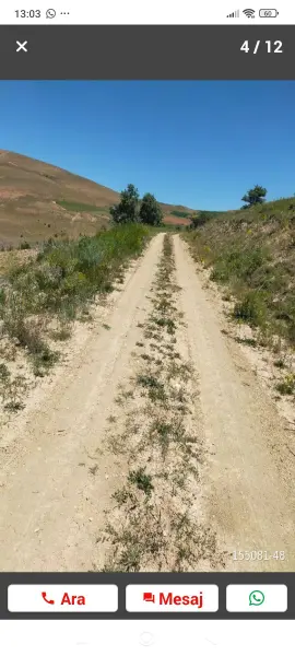 İlan Görseli https://cdn.ilanlar.com/images/l1/l2/{width}/{height}/30005460_1763139359971398774.jpg