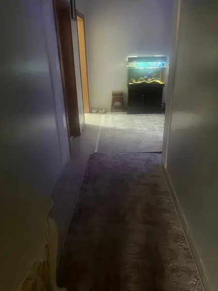 İlan Görseli https://cdn.ilanlar.com/images/l1/l2/{width}/{height}/30005541_1763463561676723457.jpg