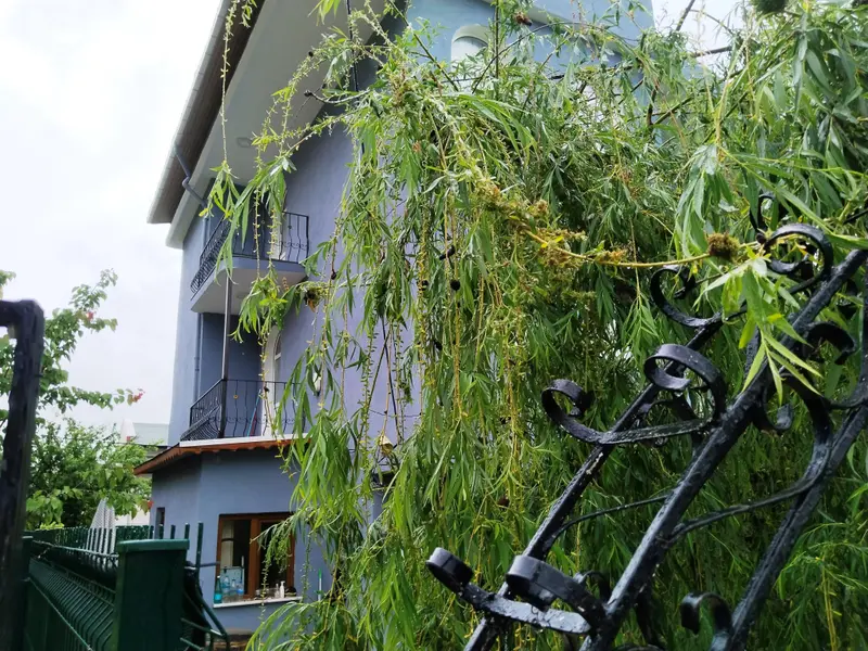 İlan Görseli https://cdn.ilanlar.com/images/l1/l2/{width}/{height}/30005585_1763551642857505691.jpg