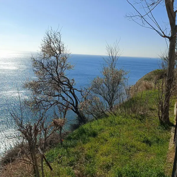 İlan Görseli https://cdn.ilanlar.com/images/l1/l2/{width}/{height}/30005593_1763555407231327405.jpg