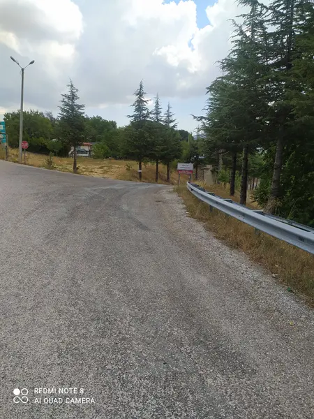 İlan Görseli https://cdn.ilanlar.com/images/l1/l2/{width}/{height}/30005617_1763633331009252553.jpg