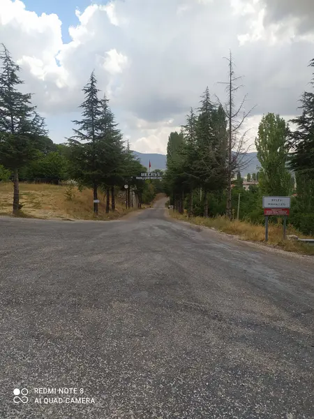 İlan Görseli https://cdn.ilanlar.com/images/l1/l2/{width}/{height}/30005617_1763633336432151921.jpg