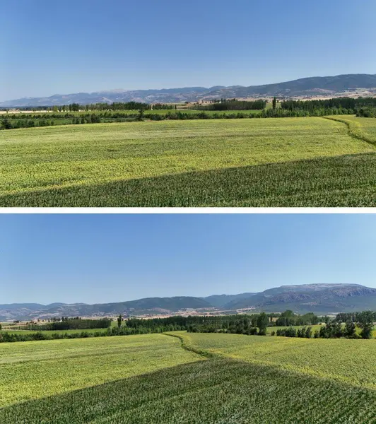 İlan Görseli https://cdn.ilanlar.com/images/l1/l2/{width}/{height}/30005637_1763652546134216858.jpg