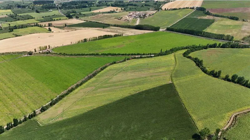 İlan Görseli https://cdn.ilanlar.com/images/l1/l2/{width}/{height}/30005637_1763652546603718443.jpg