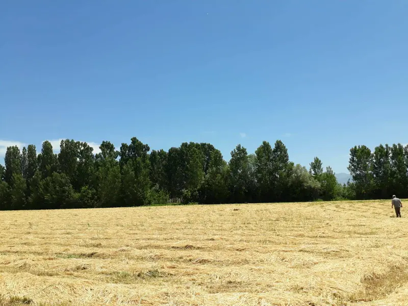 İlan Görseli https://cdn.ilanlar.com/images/l1/l2/{width}/{height}/30005637_1763652547345855047.jpg