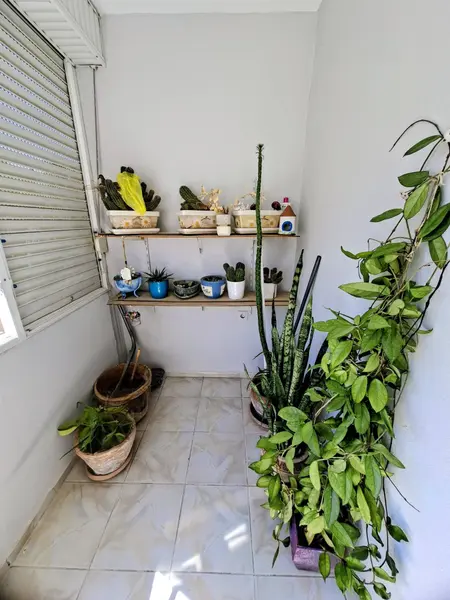 İlan Görseli https://cdn.ilanlar.com/images/l1/l2/{width}/{height}/30005645_1763657623984893477.jpg